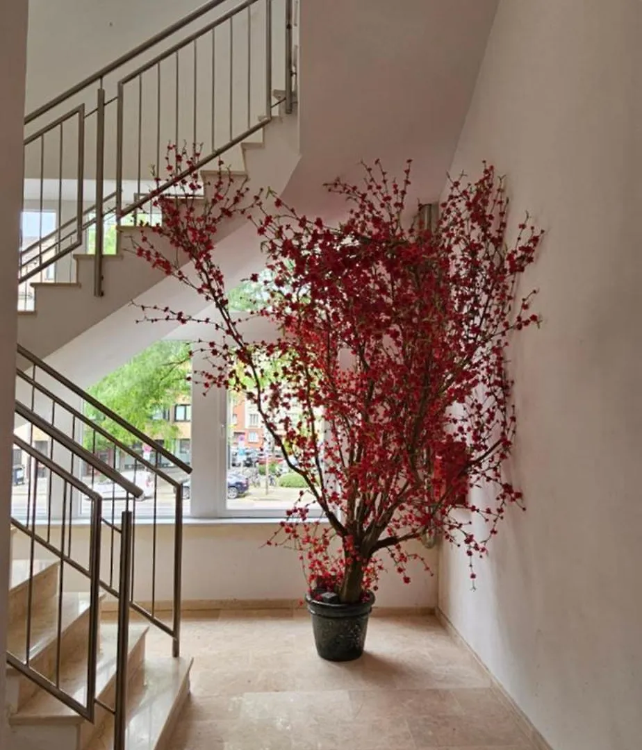 Hotel Villa Sophia Kolonia 3*,  Niemcy